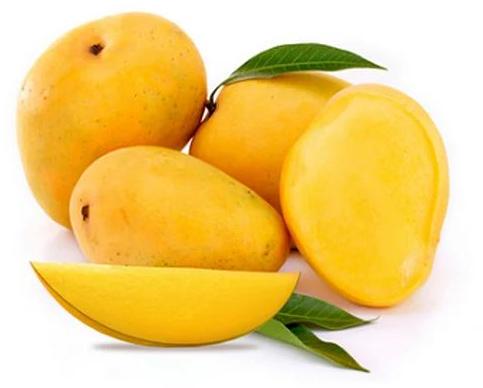 Fresh Alphonso Mango, Usage : Human Consumption