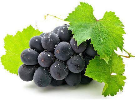 Fresh Black Grapes, Packaging Type : Crate