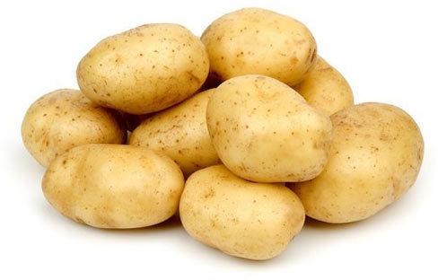 Brown Organic Fresh Potato, For Cooking, Packaging Type : Gunny Bag
