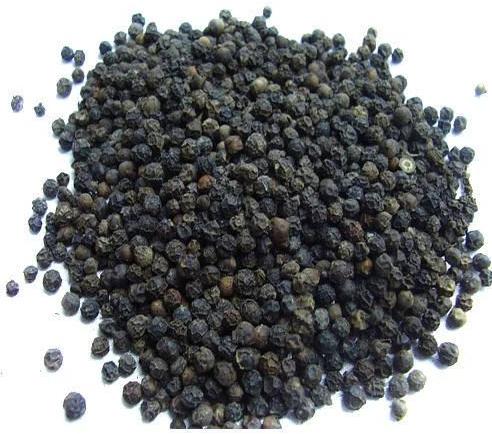 Black Pepper Seeds, Specialities : Good For Health, Good Quality