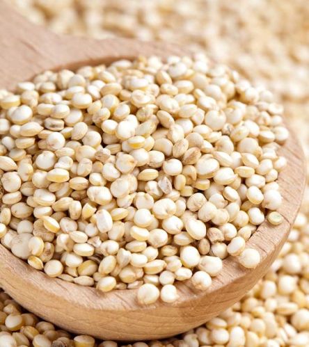 Organic Quinoa Seeds, Packaging Size : 50 Kg 100%