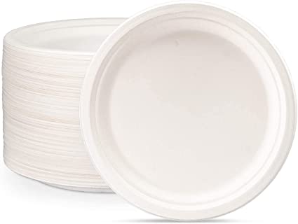 Round 10 Inch Compostable Plain Plates, For Serving Food