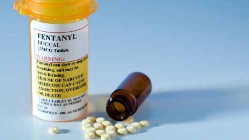 Liquid Veterinary Medicines, For Clinical, Hospital, Personal, Shelf Life : 5 Year