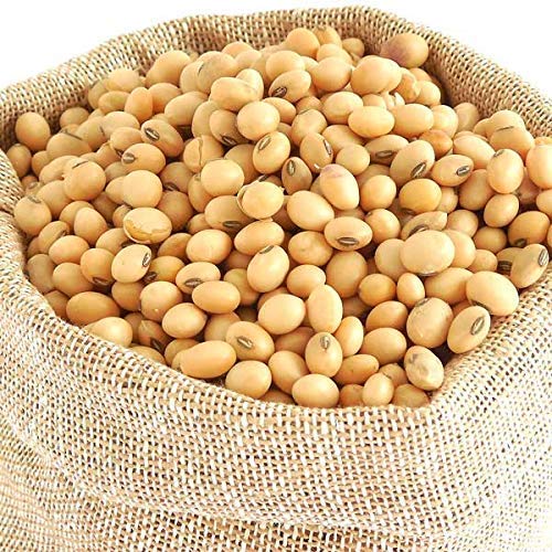 Soyabean, Style : Dried, Fresh