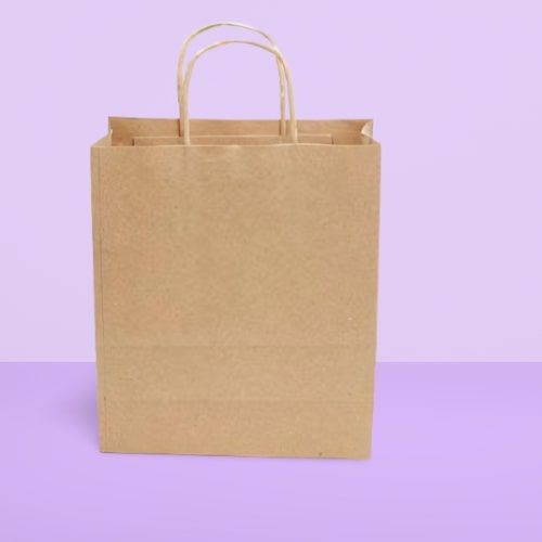 Plain Twisted Handle Paper Bag, Feature : Eco Friendly, Moisture Proof