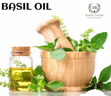 Basil Oil, Packaging Type : Bottle