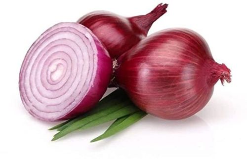 Organic Fresh Red Onion, Packaging Type : Gunny Bag