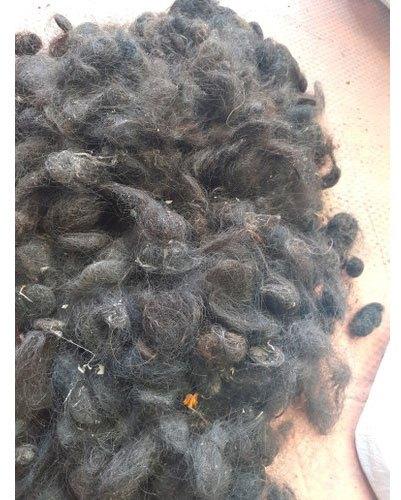 Black 100-150gm Raw Human Hair, For Collected From City, Length : 10-20Inch, 15-25Inch