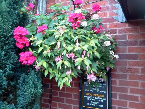 Garden Coco Liner, Feature : Easy To Carry