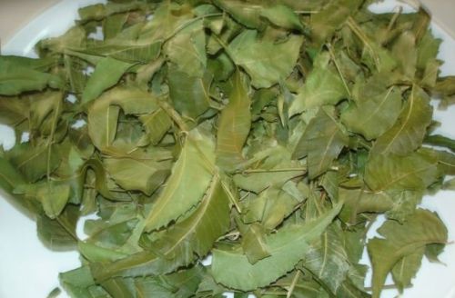 Green Natural Neem Leaves (Azadirachta Indica), For Food Additives, Medicinal, Style : Dried