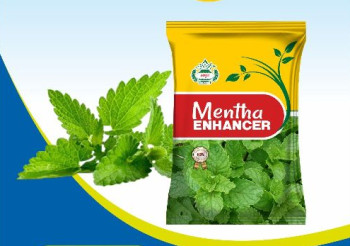 Natural Mentha Enhancer, For Agriculture, Plant Growth, Packaging Type : Plastic Bag