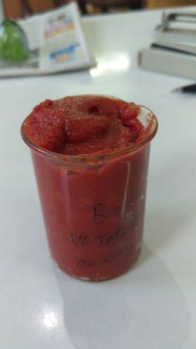 Tomato Paste, Shelf Life : 6 Months