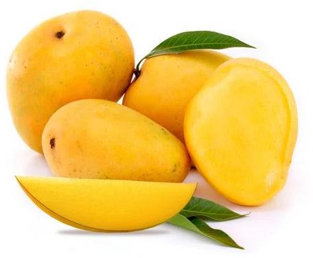 Fresh Alphonso Mango, Color : Yellow