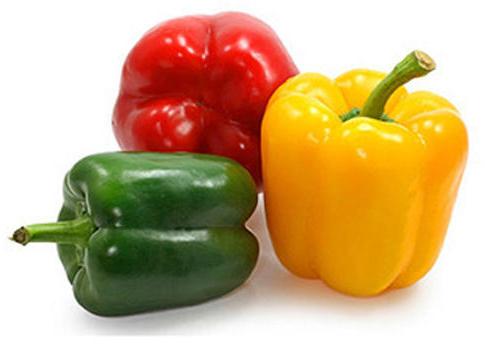 Fresh Capsicum