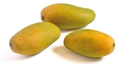 Fresh Dasheri Mango