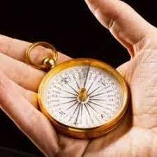 EMF Radiation Consultation