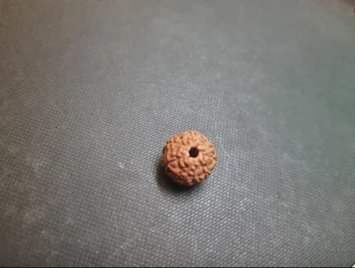 Natural Wood Beads Rudraksha 9 Face, For Religious, Size : Standard