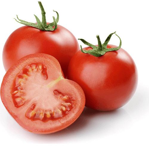 Organic Fresh Tomato, For Cooking, Packaging Type : Jute Bag
