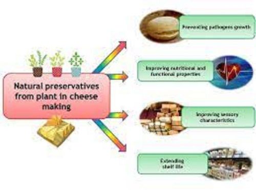 Food Preservative,food Preservative, For Bakery Products, Feature : Safe Usage