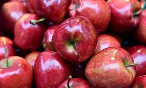 Kashmir Red Delicious Apple, Grade : A++