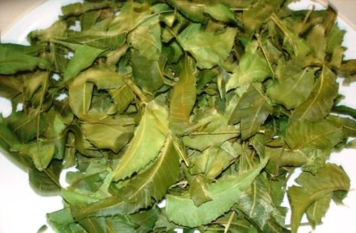 Neem Leaves(Azadirachta Indica), Color : Green