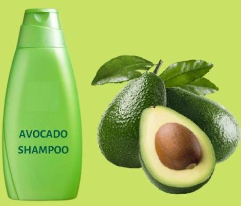 Avocado Shampoo With Conditioner