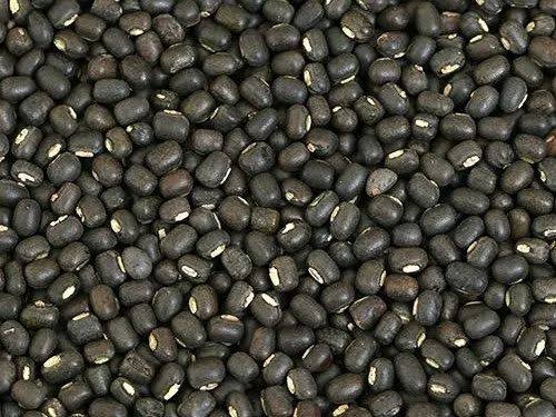 Common Black Gram, For Cooking, Packaging Size : 5kg