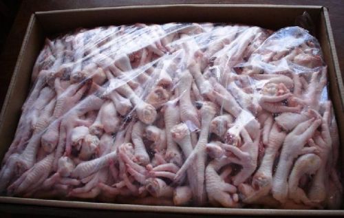 Frozen chicken feet, Condition : Fresh