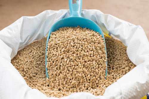 Animal Feed, Certification : FSSAI Certified