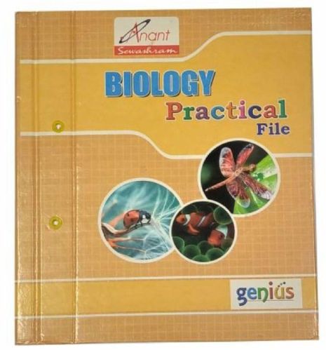 Paper Board Drawing File Fancy, For Keeping Documents, Size : F/s