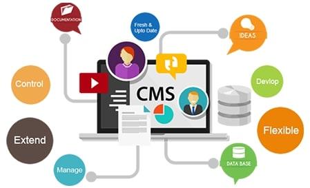 CMS Development Service