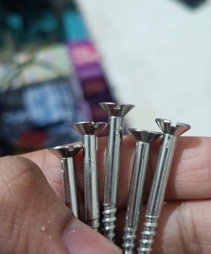 Silver Stainless Steel Wood Screw, For Door Fitting