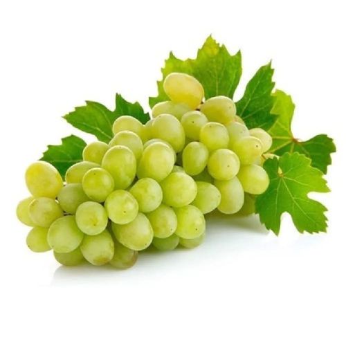 Natural Fresh Green Grapes, Shelf Life : 10 Days