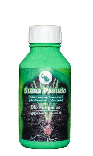 Pseudomonas Fluorescens Bio Fungicide, Form : Liquid