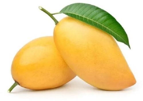 Natural Fresh Mango, Shelf Life : 10 Days