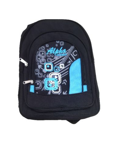 Printed Polyester School Bag, Size : Medium