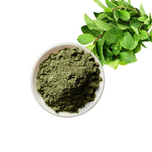 Prahi Garden Mint Powder, Shelf Life : 1years
