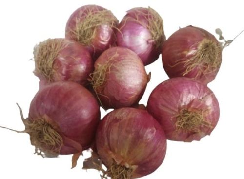 Natural Fresh Pink Onion, For Cooking, Certification : APEDA Certified