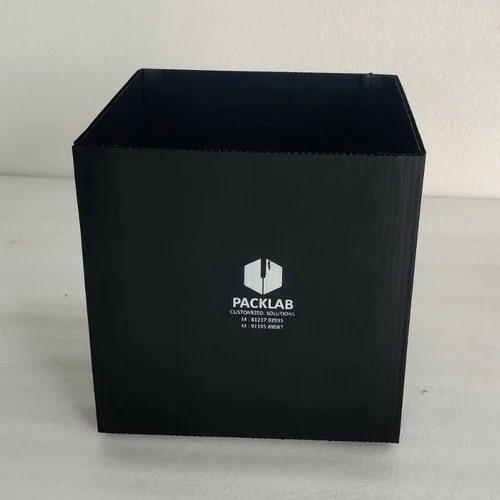 Printed Disposable Polypropylene Box, Technics : Machine Made