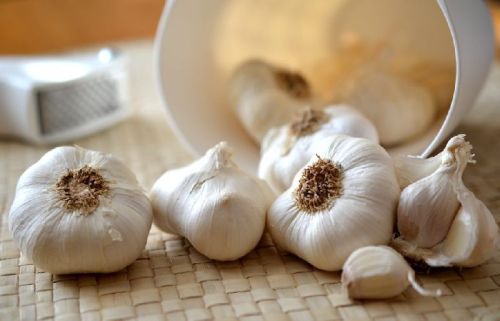 Organic Fresh Garlic, For Cooking, Style : Natural