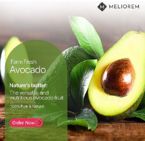 Avocado - 100% Organic