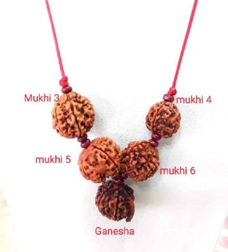 Three Four Five Face Rudraksha Mala, For Industrial Safety, Model Number : Nik0104-5