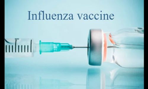 Influvenza Vaccine, For Hospital, Clinical, Packaging Type : Box, Bottle