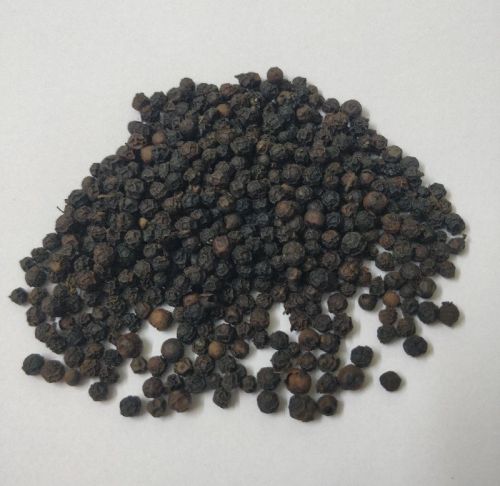 Natural Organic Black Pepper, For Cooking, Feature : Rich In Taste, Pure, Good Quality, Fresh, Free From Contamination