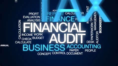 Audit Taxation Service