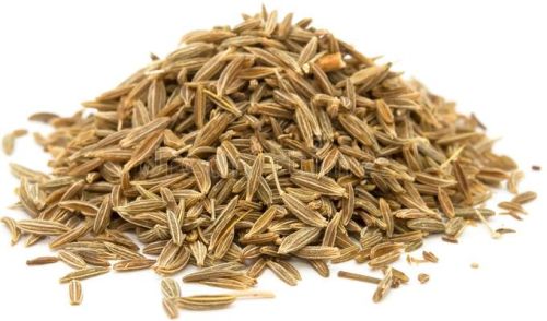 Natural Cumin Seeds, For Cooking, Shelf Life : 3-4 Yers