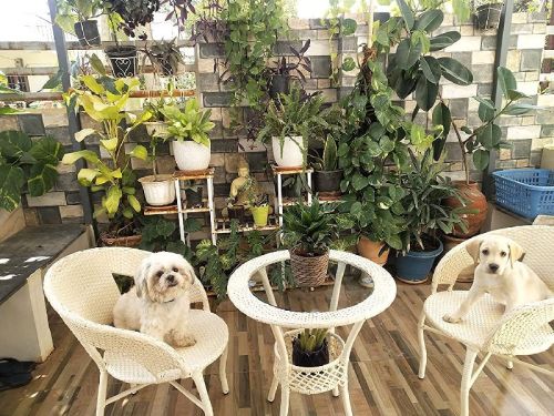 Iron Polished Patio Furniture Set, For Restaurant, Hotel, Home, Garden, Feature : Termite Proof, Stylish