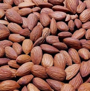 Hard Common Almond Kernels, Style : Dried