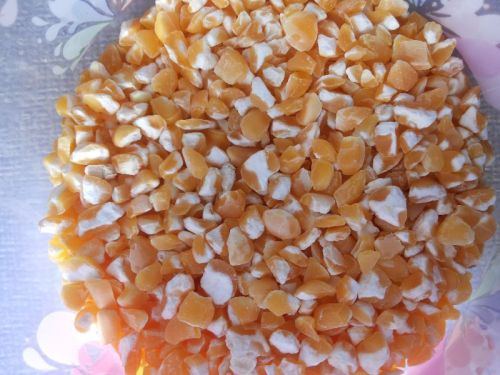 Broken Maize, For Animal Food, Cattle Feed, Style : Dried, Fresh