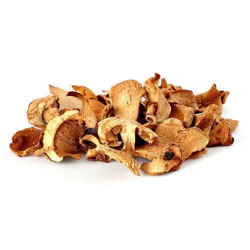 Dried Oyster Mushroom, Packaging Type : Plastic Bag